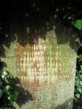 image of grave number 632755